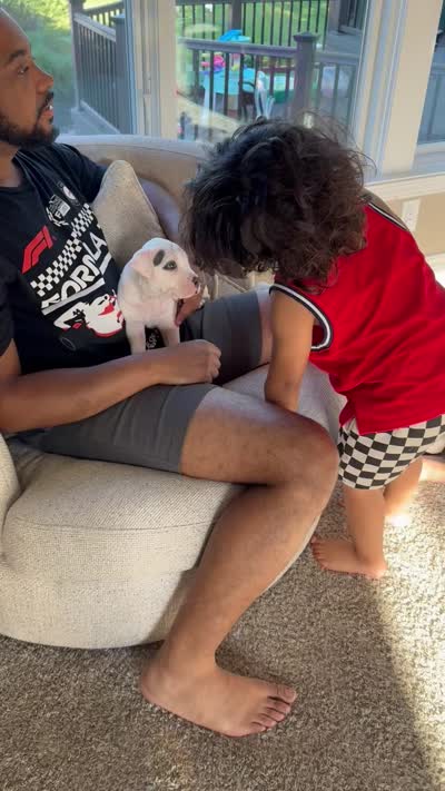 Ella, a female American Bully for sale in Detroit, MI – 7 of 8