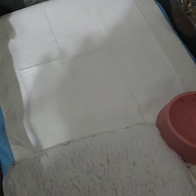Facility video