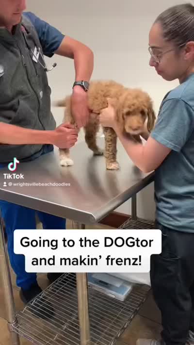 Facility video