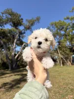 processed/44699a64-cece-4691-8bdc-be81c836a26d/listing/8ece267e-80fc-4963-98d3-631c87f9030d/e963b624-814d-4e56-9593-be81cd4ac64e