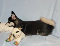 processed/4478d7c7-e2fc-4533-8868-f59b08618511/listing/19daa155-8f12-4fd3-bd6f-6465e2a8a4cb/e9bc392d-f301-47bd-b99f-785c6cd79555