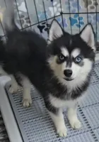 processed/4478d7c7-e2fc-4533-8868-f59b08618511/listing/4f8f112e-c0b4-4744-a111-a50fece0437f/4603efed-95e8-462d-865b-7ab9d32f7afc