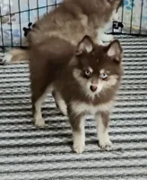 processed/4478d7c7-e2fc-4533-8868-f59b08618511/listing/7a313ad8-df93-4bb8-92d0-5100b2f100ae/888a173a-1751-4272-a882-5ac9d1fc484d