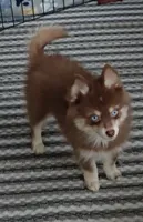 processed/4478d7c7-e2fc-4533-8868-f59b08618511/listing/7a313ad8-df93-4bb8-92d0-5100b2f100ae/cb3a3c92-e00a-476a-aea0-6a701b77cd25