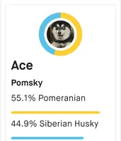 processed/4478d7c7-e2fc-4533-8868-f59b08618511/listing/a582dff2-d8ba-477b-a442-272cc77940a9/73348a12-d44e-4dcd-b231-0679eaa5930d