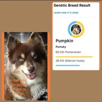 processed/4478d7c7-e2fc-4533-8868-f59b08618511/listing/a582dff2-d8ba-477b-a442-272cc77940a9/a5765912-2045-4c82-bad5-35e98e78edab