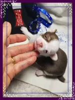 processed/44805e82-40e6-4969-a7bb-e1b3223db5b5/listing/15cded0d-d1a6-4436-907a-9108f4d2c565/1fa80571-9146-4e46-9eea-88ae52c0f94b