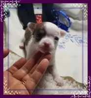 processed/44805e82-40e6-4969-a7bb-e1b3223db5b5/listing/15cded0d-d1a6-4436-907a-9108f4d2c565/27317b66-6e73-44b5-aea5-f9f0580c54aa