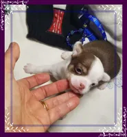 processed/44805e82-40e6-4969-a7bb-e1b3223db5b5/listing/15cded0d-d1a6-4436-907a-9108f4d2c565/73aabc0a-07bb-4e91-bc43-00f0e725336d