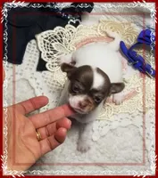 processed/44805e82-40e6-4969-a7bb-e1b3223db5b5/listing/1c036c3a-f23a-4a32-b9a6-a8320c83095c/0d137104-a415-4a96-a837-7b1947d12f9a