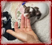 processed/44805e82-40e6-4969-a7bb-e1b3223db5b5/listing/1c036c3a-f23a-4a32-b9a6-a8320c83095c/23feb73d-8096-4b76-9667-d43c9b8a1fa8