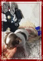 processed/44805e82-40e6-4969-a7bb-e1b3223db5b5/listing/1c036c3a-f23a-4a32-b9a6-a8320c83095c/553e8712-2877-4982-b666-c412726f7445