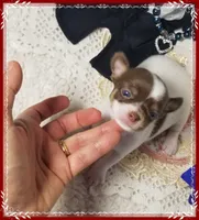 processed/44805e82-40e6-4969-a7bb-e1b3223db5b5/listing/1c036c3a-f23a-4a32-b9a6-a8320c83095c/b2a04ade-a19f-4709-b0cb-d70bee76b8f0