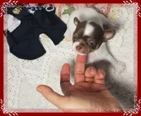 processed/44805e82-40e6-4969-a7bb-e1b3223db5b5/listing/1c036c3a-f23a-4a32-b9a6-a8320c83095c/da8194a8-8e08-4f5e-88a5-ad02f722a3e7