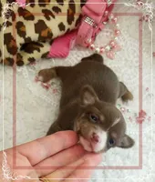 processed/44805e82-40e6-4969-a7bb-e1b3223db5b5/listing/abe450bc-f377-48ef-a328-1ce087d4934d/2a2adaf5-0513-4a3e-a846-d6877ccca183