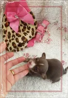 processed/44805e82-40e6-4969-a7bb-e1b3223db5b5/listing/abe450bc-f377-48ef-a328-1ce087d4934d/3fc1a355-388e-48d2-99fa-d820720f1bea