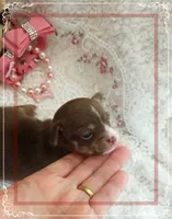 processed/44805e82-40e6-4969-a7bb-e1b3223db5b5/listing/abe450bc-f377-48ef-a328-1ce087d4934d/8ff76581-b71b-47d1-855c-ad67e2b84f5d