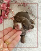 processed/44805e82-40e6-4969-a7bb-e1b3223db5b5/listing/abe450bc-f377-48ef-a328-1ce087d4934d/af9dde41-e77b-4d34-b2f5-270f359b505f