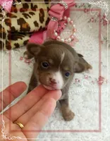 processed/44805e82-40e6-4969-a7bb-e1b3223db5b5/listing/abe450bc-f377-48ef-a328-1ce087d4934d/e39d98be-a2f2-49e4-936e-ae7a920d1235