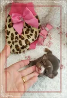 processed/44805e82-40e6-4969-a7bb-e1b3223db5b5/listing/abe450bc-f377-48ef-a328-1ce087d4934d/eda69aed-bdd7-444b-9419-52eae7f09010