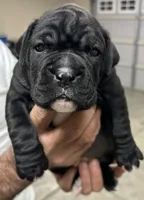 processed/44861248-7e21-4709-a4e4-31be27cedaa2/listing/e068672e-db86-4a75-838c-5f4c78ec4203/6521b1a8-230c-4ed7-baa3-efd31ce663ce