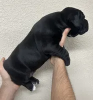 processed/44861248-7e21-4709-a4e4-31be27cedaa2/listing/e068672e-db86-4a75-838c-5f4c78ec4203/796de3ca-6823-4354-b55b-b0607bc46e5d