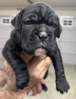 processed/44861248-7e21-4709-a4e4-31be27cedaa2/listing/e068672e-db86-4a75-838c-5f4c78ec4203/f09856e7-cb6d-417a-b4b3-871ffba03145