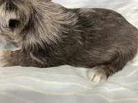 processed/44889b8d-988f-4cb8-93bd-06eb8c609670/listing/14e636bf-5182-44ce-b55c-2165b1d626ed/2430b3f9-0391-4e53-86dd-86b59ac4d840