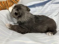 processed/44889b8d-988f-4cb8-93bd-06eb8c609670/listing/14e636bf-5182-44ce-b55c-2165b1d626ed/44a6c172-2963-46c1-8aaa-94f349fcacdd