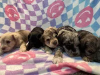 processed/44889b8d-988f-4cb8-93bd-06eb8c609670/listing/14e636bf-5182-44ce-b55c-2165b1d626ed/9e13274e-42e8-464c-bb41-44cafa2b89fe