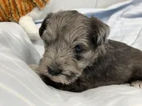 processed/44889b8d-988f-4cb8-93bd-06eb8c609670/listing/14e636bf-5182-44ce-b55c-2165b1d626ed/ef97bf33-992e-40f7-81ca-1accfa67df39