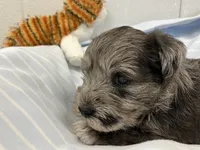 processed/44889b8d-988f-4cb8-93bd-06eb8c609670/listing/14e636bf-5182-44ce-b55c-2165b1d626ed/f2a10cb0-46dd-457b-8c87-39b3499732d1