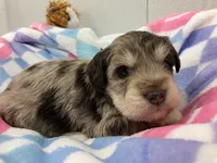 processed/44889b8d-988f-4cb8-93bd-06eb8c609670/listing/4804efe2-8a9b-4e9b-8a1a-0dffe7c81d5f/2f074f0a-5911-4d18-bd6f-deeb88525bf7