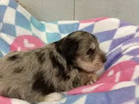 processed/44889b8d-988f-4cb8-93bd-06eb8c609670/listing/4804efe2-8a9b-4e9b-8a1a-0dffe7c81d5f/787260e5-1548-438f-aac3-8e15ef0352b6