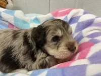 processed/44889b8d-988f-4cb8-93bd-06eb8c609670/listing/4804efe2-8a9b-4e9b-8a1a-0dffe7c81d5f/b5d24326-c94a-451a-9d03-a5d8ffea4997