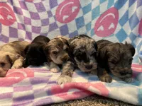 processed/44889b8d-988f-4cb8-93bd-06eb8c609670/listing/4804efe2-8a9b-4e9b-8a1a-0dffe7c81d5f/f84489a7-7dcc-4946-aa76-92bcf2e376d4