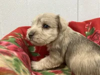 processed/44889b8d-988f-4cb8-93bd-06eb8c609670/listing/e9260de1-a688-4f01-8e28-30f2c658e317/23859f31-f3ac-41e6-a739-b6d5795346de