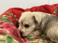 processed/44889b8d-988f-4cb8-93bd-06eb8c609670/listing/e9260de1-a688-4f01-8e28-30f2c658e317/47d7006f-6503-4a5f-a7e4-f5813c9237e2