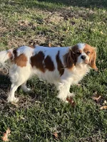 processed/44894e2e-cdaf-440a-be53-f7b758a7fc6e/facility/3708b003-a4a9-4627-ae0a-7d1ca011ff88