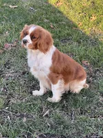 processed/44894e2e-cdaf-440a-be53-f7b758a7fc6e/facility/c0ef430f-97e6-4356-8a8b-d80785cb3505