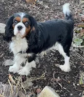 processed/44894e2e-cdaf-440a-be53-f7b758a7fc6e/facility/f32d15bc-6994-4fdc-93a8-289807dcd9b7