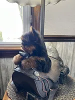 processed/44894e2e-cdaf-440a-be53-f7b758a7fc6e/listing/2a73d243-eba6-474d-b2eb-a1708d212794/1b9a48c7-c756-4d78-bb08-e183c461a14b