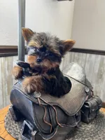 processed/44894e2e-cdaf-440a-be53-f7b758a7fc6e/listing/2a73d243-eba6-474d-b2eb-a1708d212794/36352a75-ed62-448e-b361-0f13f4f7cc62