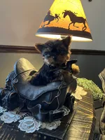 processed/44894e2e-cdaf-440a-be53-f7b758a7fc6e/listing/2a73d243-eba6-474d-b2eb-a1708d212794/45b8acc1-4118-4ac4-aadb-c36edbc4c8a1