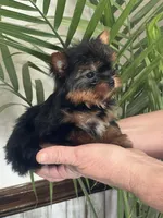 processed/44894e2e-cdaf-440a-be53-f7b758a7fc6e/listing/2a73d243-eba6-474d-b2eb-a1708d212794/6b0a23b7-a973-4e35-a075-775eb567c523