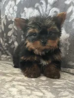 processed/44894e2e-cdaf-440a-be53-f7b758a7fc6e/listing/2a73d243-eba6-474d-b2eb-a1708d212794/db83e57d-e2fd-4d0b-a2e5-120b0e70346d