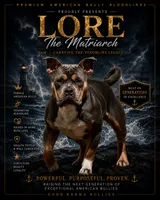 Marina , a female American Bully for sale in Venice, FL – 4 of 5
