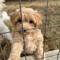 processed/44933719-ee59-45fc-98fa-9df612cf3a78/facility/4a5f1823-0d7d-40e9-b991-66cbd44ef197