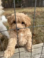 processed/44933719-ee59-45fc-98fa-9df612cf3a78/facility/4a5f1823-0d7d-40e9-b991-66cbd44ef197