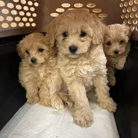 processed/44933719-ee59-45fc-98fa-9df612cf3a78/facility/52d956e9-c185-44d5-94d6-70e177a1dd3e